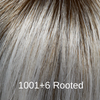 1001_6_Rooted
