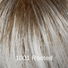 1001_Rooted