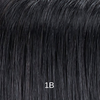 1B