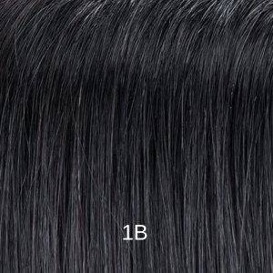 1B