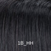 1B_HH