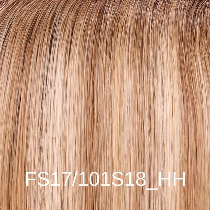 FS17_101S18_HH