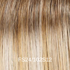 FS24_102S12
