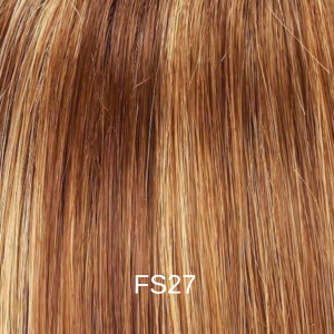 FS27