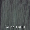 Smoky Forest